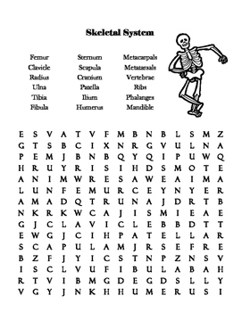 word search 4. used in body functions