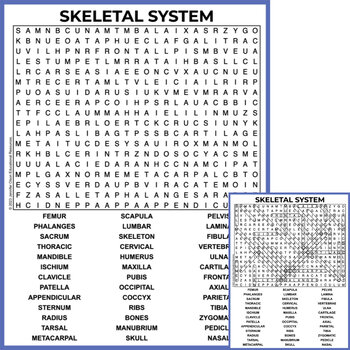 Preview of Skeletal System Word Search