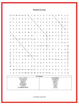Skeletal System Word Search w/ Answer Key by Worksheet Central | TpT