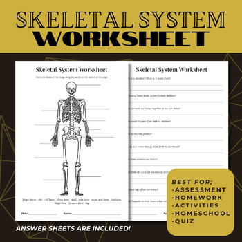 Preview of Skeletal System Worksheet Assessment