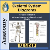 Skeletal System and Bone Diagrams to color and Label, With