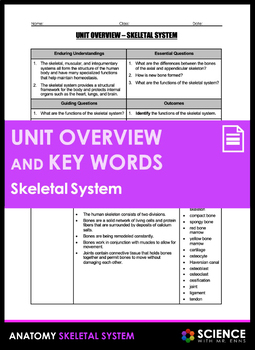 Preview of Skeletal System and Bones Anatomy Unit Overview and Vocabulary Key Words