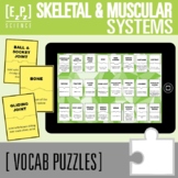 Skeletal System and Muscular System Vocabulary Activity | 