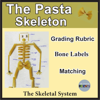 Preview of Skeletal System Activity and the Pasta Skeleton, Human Body Systems