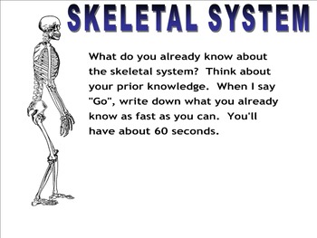 Preview of Skeletal System overview lab and data analysis