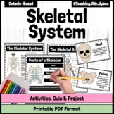 Skeletal System Activities and Project | Human Body System