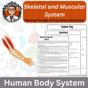 Preview of Skeletal and Muscular System Reading Passage and Questions Worksheet