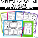 Skeletal and Muscular System Unit