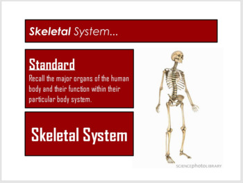 Preview of Skeletal and Muscular Systems - Flipchart Presentation