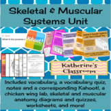 Skeletal and Muscular Systems Unit! Includes Vocab, Notes,