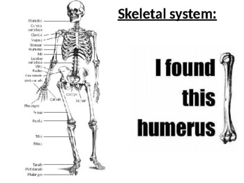 Preview of Sports medicine: Skeletal system PPT