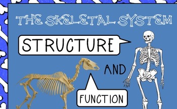 Skeletal system PWPT foldable Interactive Notebook notes 5th 6th 7th