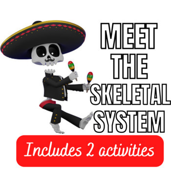 Preview of Skeletal system Worksheet Activity | Printable & Digital