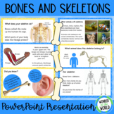 Skeletal system and human skeleton slide show PowerPoint p