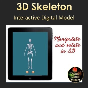 Preview of Skeleton 3D Digital Model for Smartboards or Whiteboards