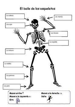 Skeleton Body Parts with Spanish Song by Habla Language Services
