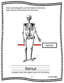 4 Bone Themed Bks-Bare Bones- Bones-Simple Science Bones-Big Book of Bones