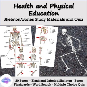 Preview of Skeleton & Bones Flashcards, Study Materials and Quiz - Health, Phys Ed, Science
