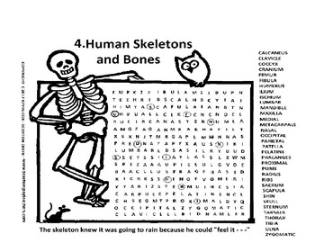 Preview of Halloween Human Skeleton Bones Word Search or Wordsearch