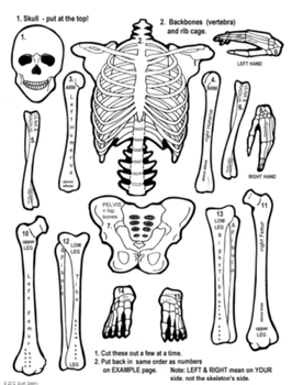 Skeleton Cut & Paste Unit - Primary Grades by TeachersRock60 | TpT