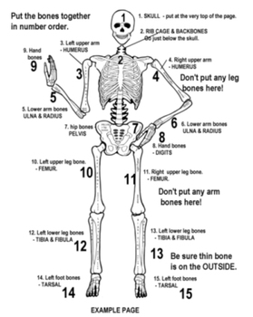 Skeleton Cut & Paste Unit - Primary Grades by TeachersRock60 | TpT