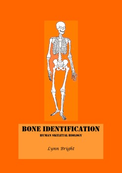 Preview of Skeleton: Human Biology Identification: Quiz, bell ringer, warm-up, exit, review