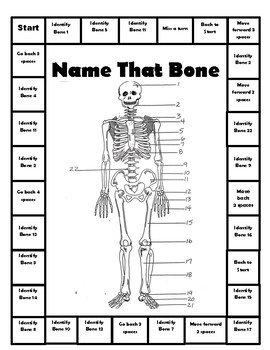 SKELETAL SYSTEM GAMES by Merry in the Middle | Teachers Pay Teachers