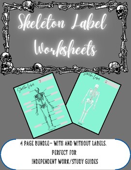 Preview of Anatomical Skeleton Labeling Worksheet Bundle
