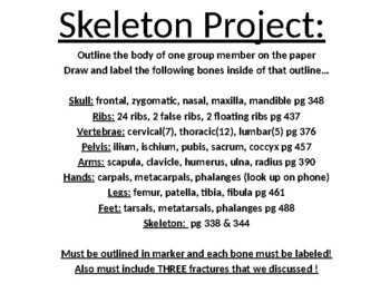 Preview of Skeleton Project for anatomy/sports medicine classes