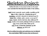 Skeleton Project for anatomy/sports medicine classes