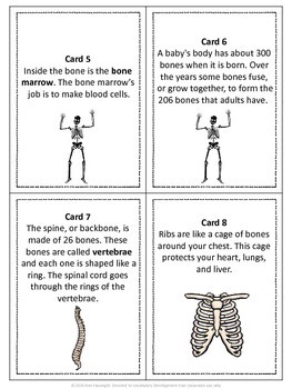 Skeleton Scavenger Hunt by Ann Fausnight | Teachers Pay Teachers