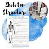 Skeleton Structure Guide
