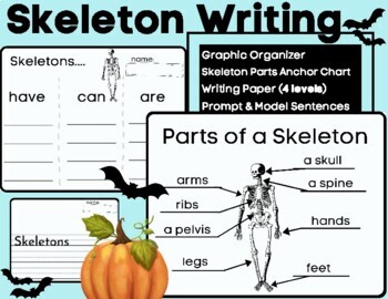 Preview of Skeleton Writing and Labeling- Informative (Have Can Are) w/ Anchor Charts