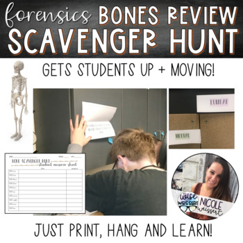 Preview of Skeleton and Bones | Scavenger Hunt Review