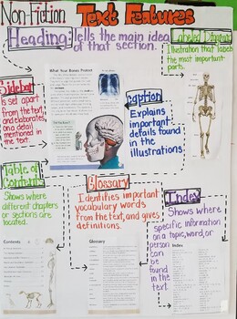 Preview of Skeletons Inside and Out Non-Fiction Text Features Anchor Chart