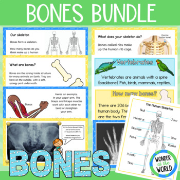 Preview of Skeletons and Bones bundle (Google Slides slide show presentations and display)