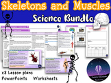 Skeletons and Muscles - 8 Science Lessons Bundle