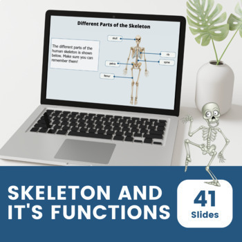 Preview of Skeletons and their functions Interactive Primary Science Lesson and Activities