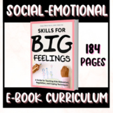 Skills for Big Feelings Social Emotional Learning Coping S