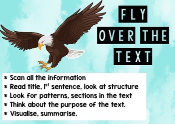 Skimming and Scanning Poster - Reading Skills Display