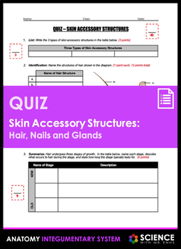 Skin Accessory Structures Anatomy Quiz Including Hair Nails & Skin Glands