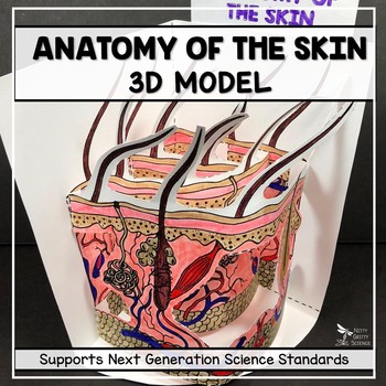 skin model project ideas