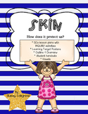 Skin--External Organ protects the body: 3 activities, 5Es,