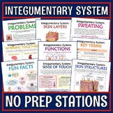 Skin Integumentary System Activity Stations PDF and GOOGLE