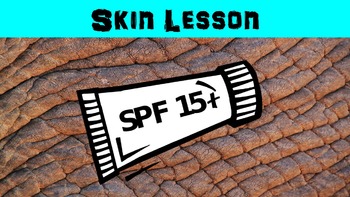 Preview of Skin No Prep Lesson with Power Point and Worksheet