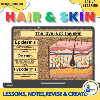 Preview of Skin slides, worksheets, comprehension, lesson, craft 7th grade science