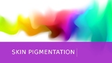 Skin Pigmentation PowerPoint (integumentary system; anatom