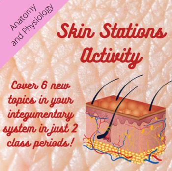 Preview of VIRTUAL Skin Stations Activity: Integumentary System- Anatomy and Physiology