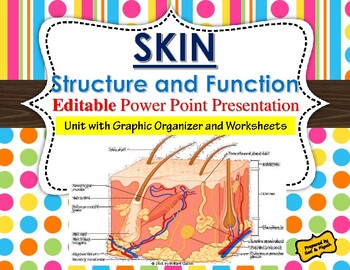 Preview of Skin: Structure and Function - Unit with editable PPT and Worksheets