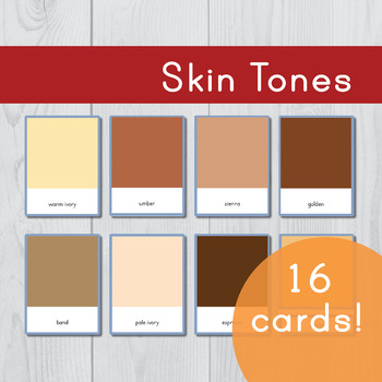 Preview of Skin Tones • Montessori Three Part Cards • Flash Cards